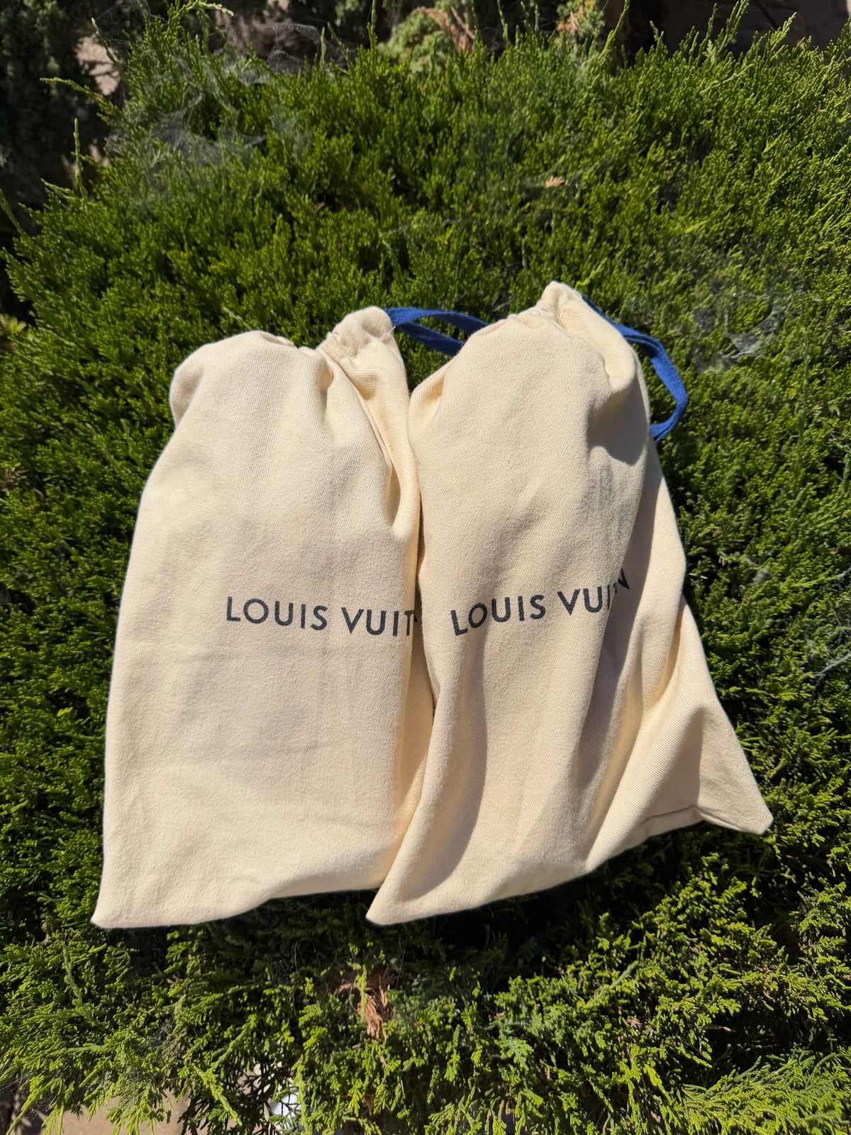 LV trainers